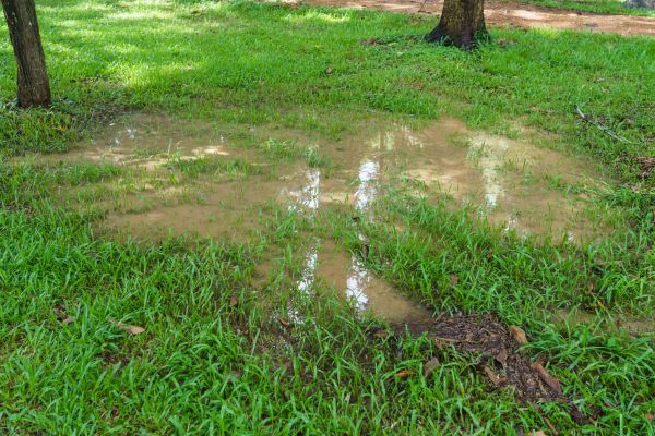 Cost of Storm Water Drainage Service in Middletown