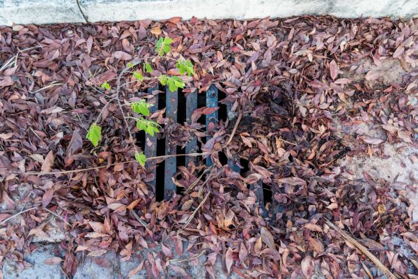 Cost of Yard Drain Unclogging in Middletown