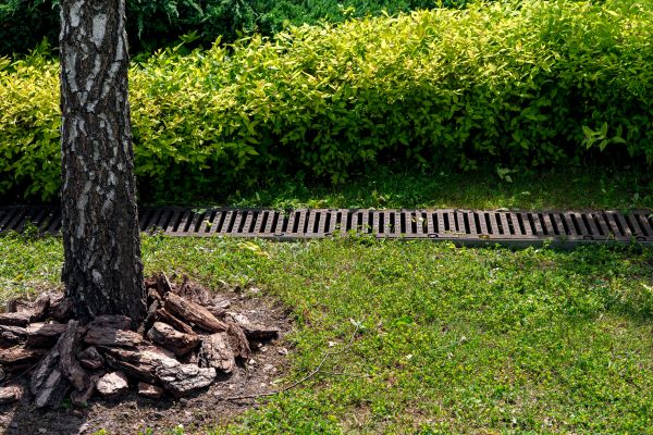 Cost of Wet Yard Drainage in Middletown