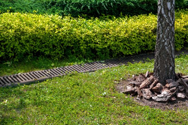 Cost of Residential Landscape Drainage in Middletown