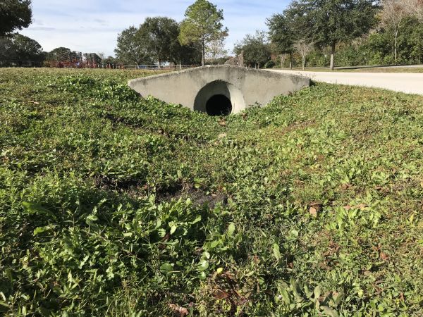 Cost of Swale Drainage Service in Middletown
